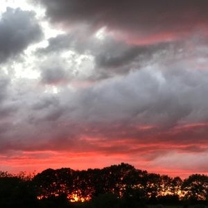 Meet your Posher, Ann